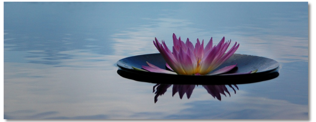 Bioenergetische Meditation 
